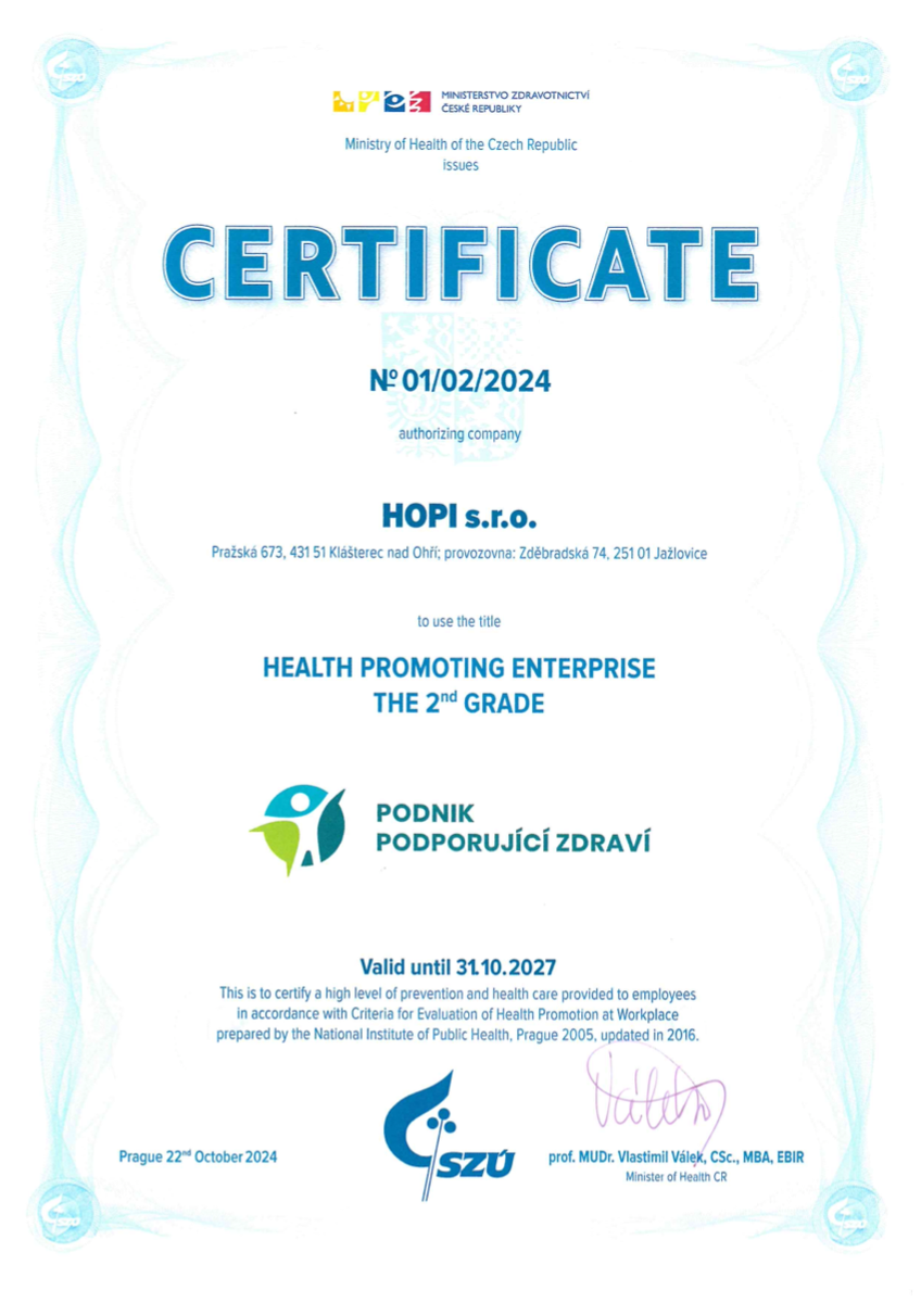 Health Promoting Enterprise preview