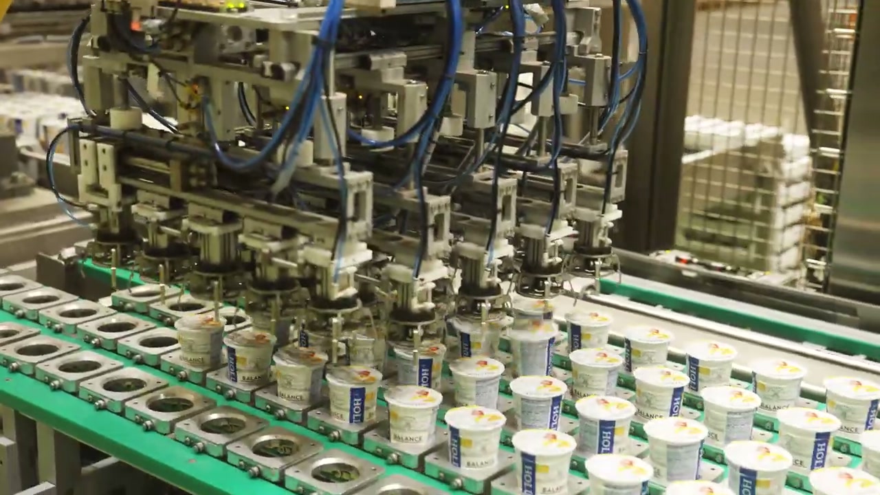 Hollandia retail presence