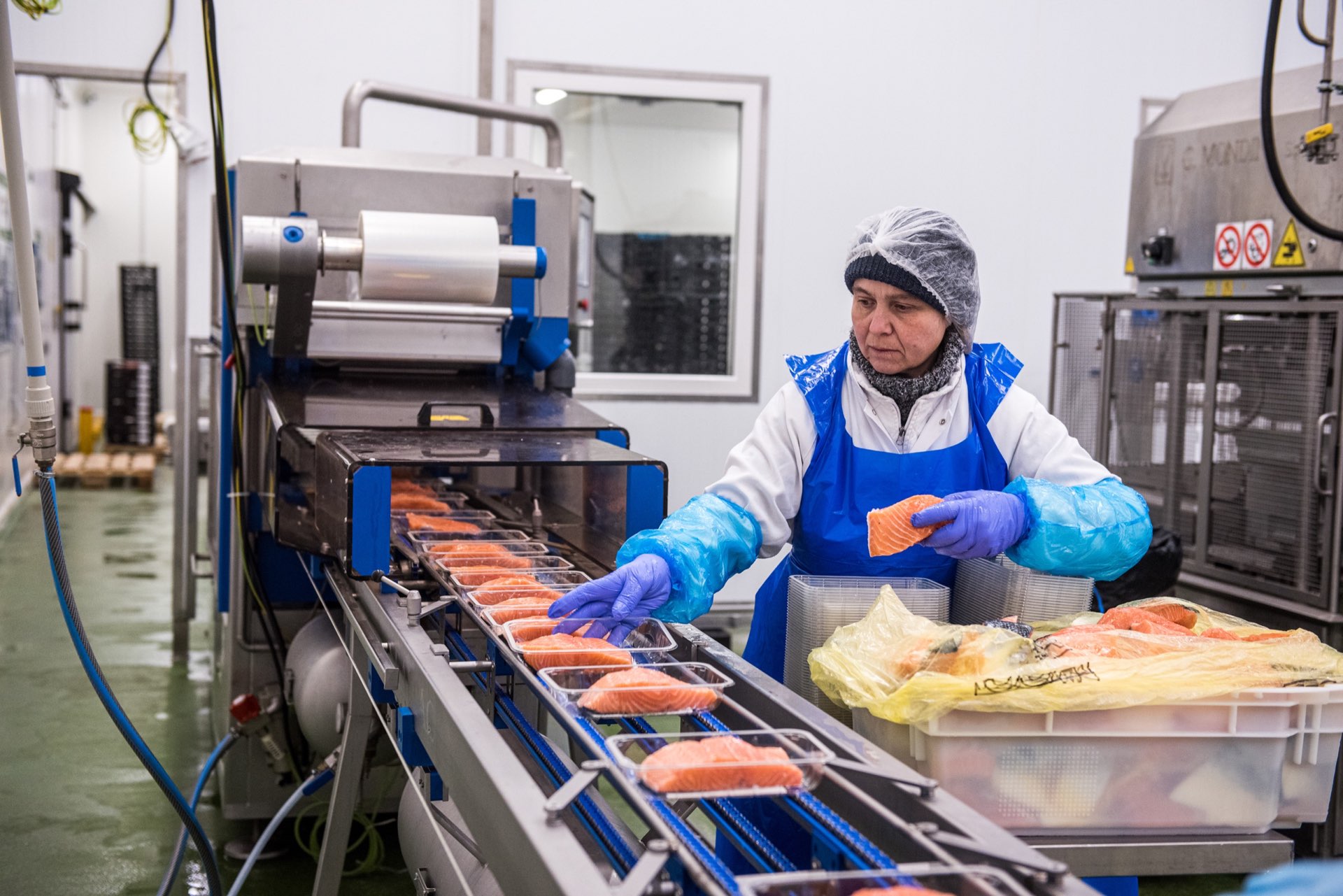 HOPI Fish Hub detail